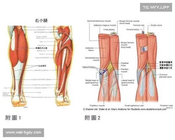 杜埃右小腿腓肠肌撕裂预计休战三到四周将影响近期比赛计划